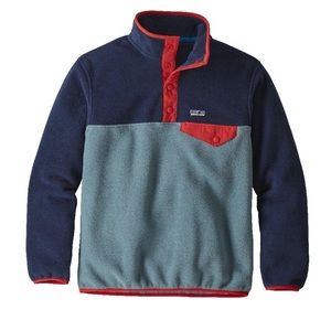 VGUC Patagonia Lightweight Synchilla Snap-T Fleece Pullover 3T